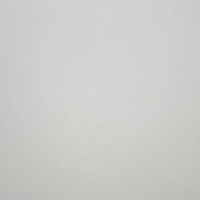 Arctic White Arctic White
