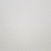 Arctic White Arctic White