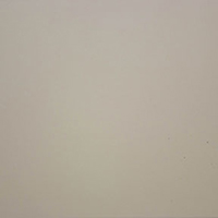 Arctic White Arctic White