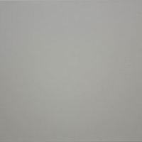 Arctic White Arctic White