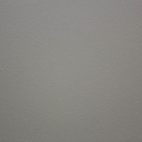 Arctic White Arctic White