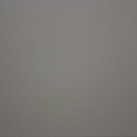 Arctic White Arctic White