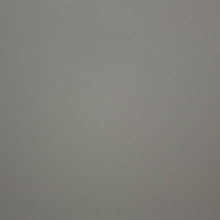 Arctic White Arctic White