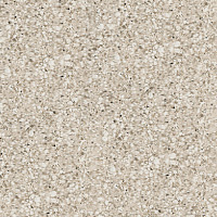 Arctic White Arctic White