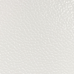 Arctic White Arctic White
