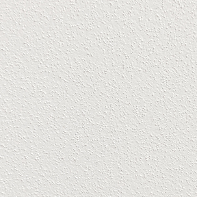 Arctic White Arctic White
