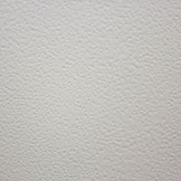 Arctic White Arctic White