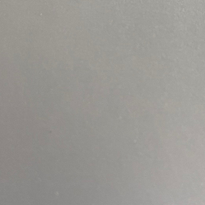Arctic White Arctic White